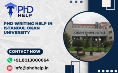 PhD writing help in Istanbul Okan University